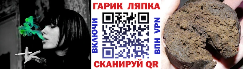 Купить где  Пошехонье  ГАШ гашик 