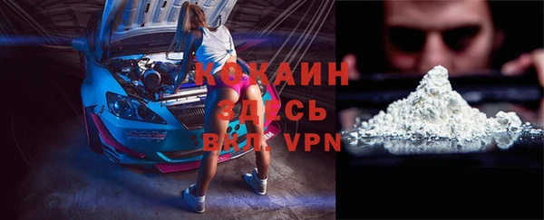 СК Вязьма