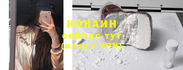 шишки Вяземский