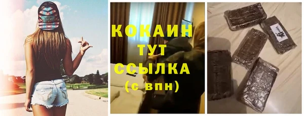 шишки Вяземский