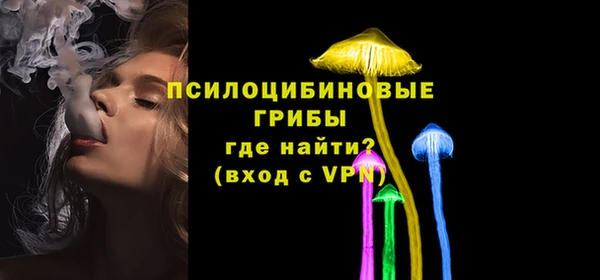 шишки Вяземский