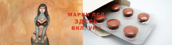шишки Вяземский