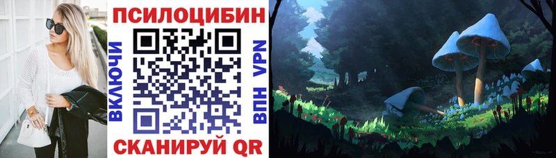 Купить где  Пошехонье  Псилоцибиновые грибы мицелий 